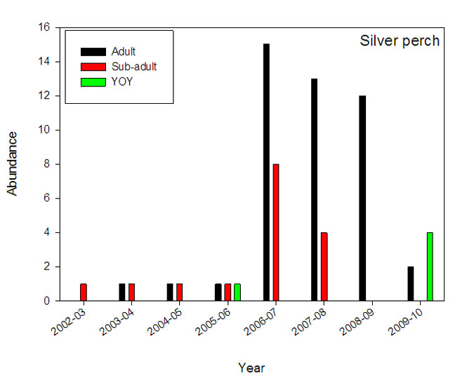 RFL Mallee - figure 4