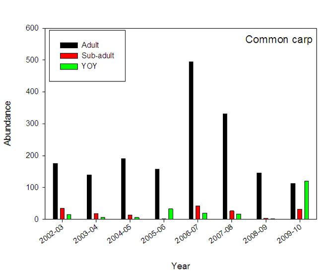 RFL Mallee - figure 5