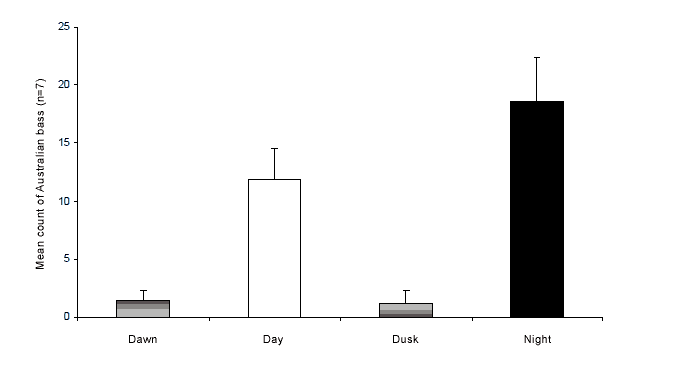 &quot;Chart: X axis shows Dawn, Day, Dusk and Night. Y axis shows Mean Count of Australian Bass with each count equalling 7 bass. At dawn there we 2 counts of bass. During day there were 12 counts of bass. At dusk there was 1 count of bass. At night there were 17 counts of bass.&quot;