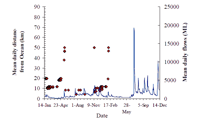 Graph showing movement behaviour of bass