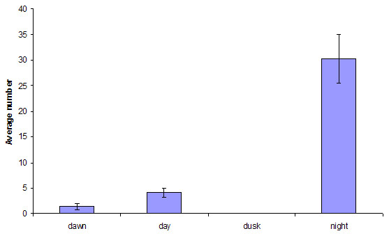 Figure 4 Comparison of average number of occurrences where two or more VR2 receivers were visited by a single perch by time of day.