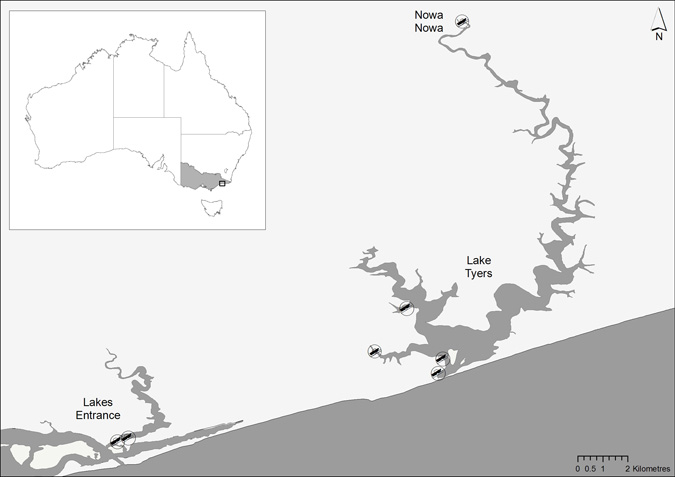 Map of Lake Tyers