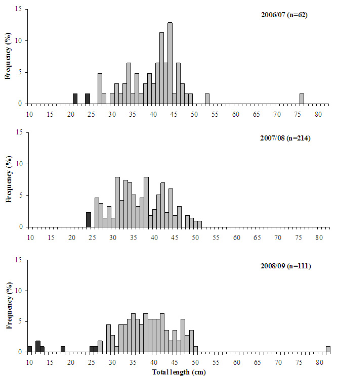 Line chart plotting length frequency distribution of dusky flathead