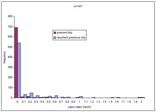 Figure 14. Frequency distribution of Murray cod catch rates (fish/h) for recalled previous trip and present trip. NB recalled previous trip catch rates data is truncated at 2.0 for comparative-clarity, maximum values included 4.1 fish/h.