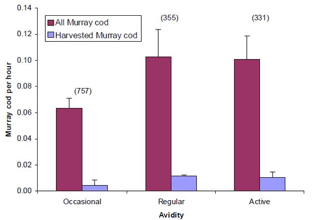 Figure 2. Mean (&amp;plusmn;SE) catch rates and harvest rates for Murray cod by anglers who self assessed their participation in the fishery as &amp;lsquo;occasional&amp;rsquo;, less than once per month;&amp;lsquo;regular&amp;rsquo;, at least once per month, or &amp;lsquo;active&amp;rsquo;, at least once per week. No significant differences among groups. Sample sizes are in parentheses