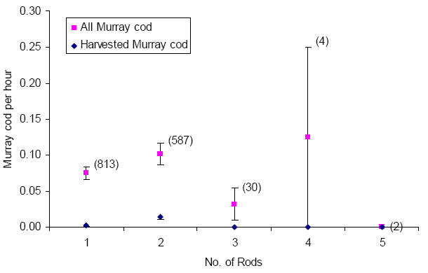 Figure 7 Mean catch rate (&amp;plusmn;SE) of all Murray cod (squares) and harvested Murray cod (diamonds) for anglers using from one to five rods. Harvest rate of anglers with two-rods was significantly higher than those using one rod. Number of interviews in parentheses. No significant differences between catch rates for all Murray cod