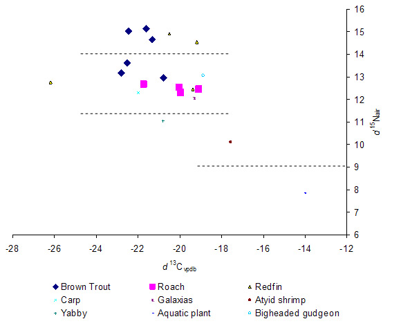 &quot;Figure 1. Showing the relationship between the ratio of 13C to a standard and the ratio of 15N to a standard, within a sample from each organism (individual symbols). Dotted lines indicate approximate boundaries between trophic levels. The highest trophic level contained samples from large individual brown trout and redfin.&quot;