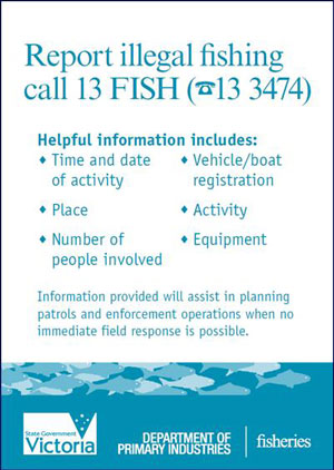 Report illegal fishing call 13 FISH (13 3474). Helpful information includes: Time and date of activity; Place; Number of people involved; vehicle/boat registration details; activity; and equipment. Information provided will assist in planning patrols and enforcement operations when no immediate field response is possible.
