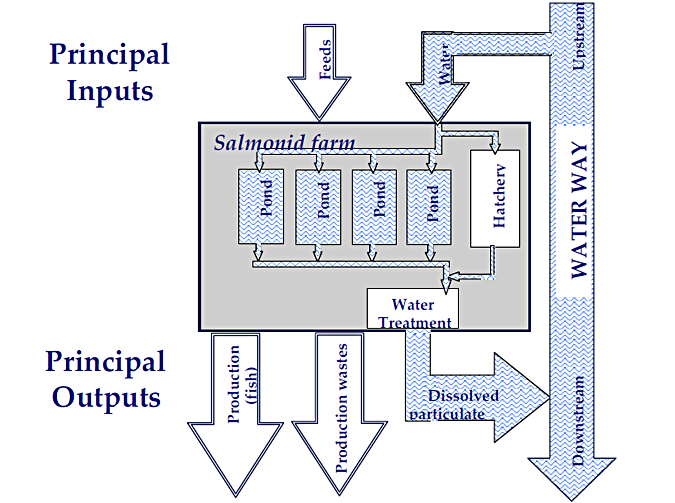 Flowchart: Schematic of a flow- through salmonid farm, shows Principle Inputs -Feeds, Water and Principal Outputs - Production(Fish), Production Wastes, Dissolved Particulate