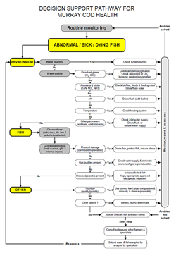 Decision Support Pathway for Murray Cod Health, flowchart for checking Fish Health