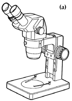 microscope a