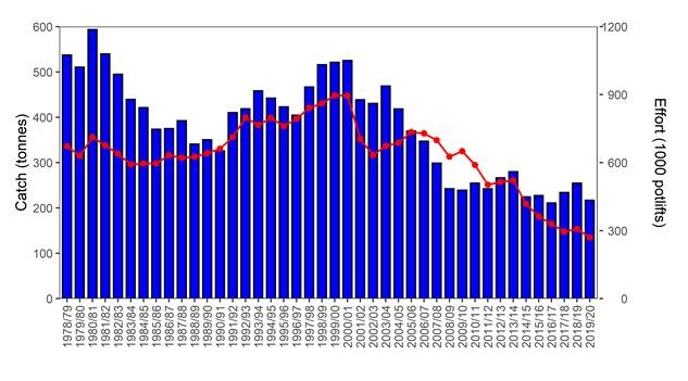 Figure 4: Total catch (tonnes) and nominal effort (x1000 potlifts) in the WZRLF