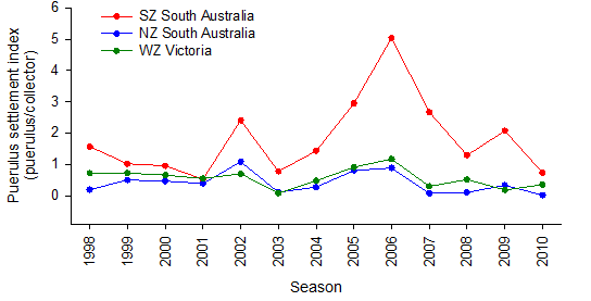 Figure 6: Puerulus settlement index in the Southern (SZ) and Northern Zone (NZ) of South Australia and the WZRLF from 1998-2010.