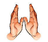 Ilustration of a palm