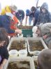 Hands on marine biology cruise