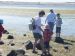 Mudflat meandering