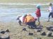 Looking for crabs at Swan bay mudflats