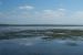 Wader birds in Swan bay