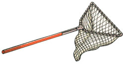 landing net