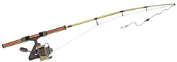 light spinning rod