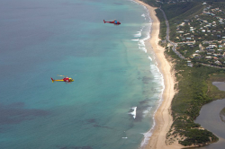 Aerial photo of two helicopters flying near a coastline to patrol for sharks.