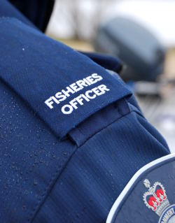 Uniform close-up