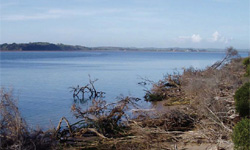 Anderson Inlet Fisheries Reserve Management Plan