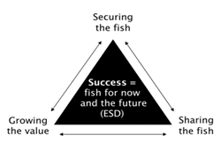 Figure 2. Graphic of Fisheries Victoria's vision of success