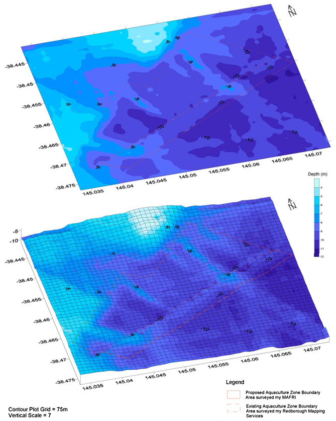 Surface and three dimensional contour plot of the FAFR extension and existing area.
