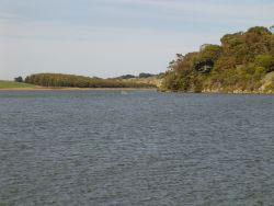 Hopkins Estuary