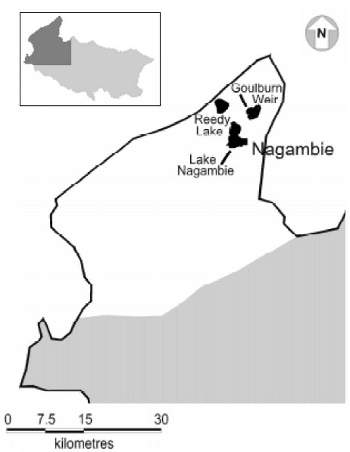 Fig8