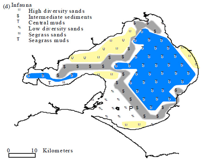 Figure 4.3. Pattern analysis of the 1969 &amp;ndash; 72 bay-wide survey data showing major benthic community groupings. 