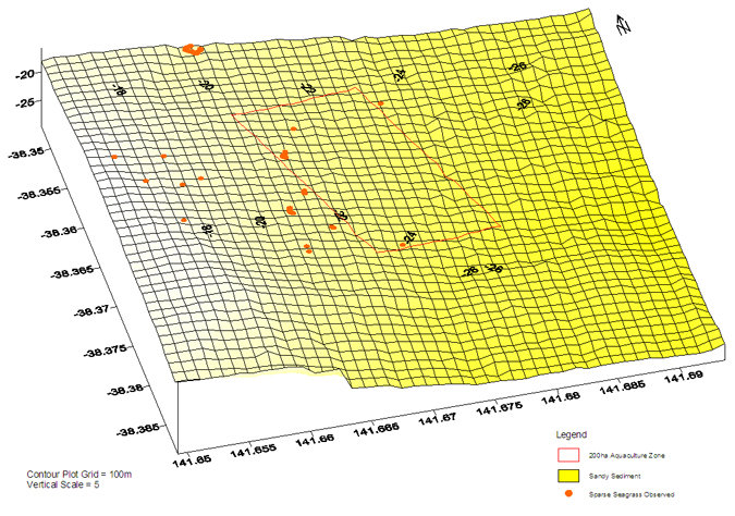 Portland Seagrass map