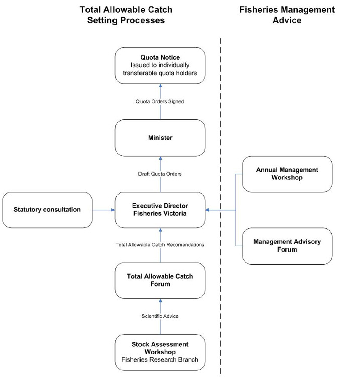 TACC setting and fisheries management workshop processes
