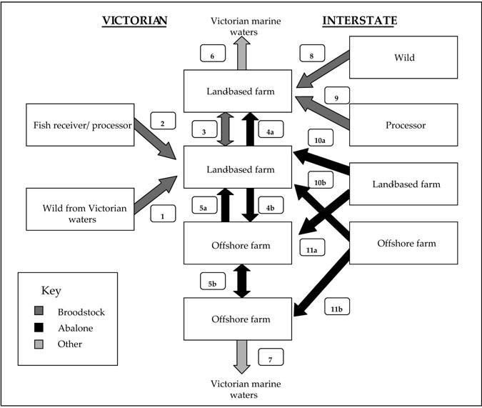 Figure 1: Translocation activities managed by this protocol in relation to the abalone aquaculture industry.