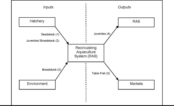 Figure 1: Potential translocation activities related to the RAS aquaculture industry in Victoria. Numbers in brackets correspond to translocation activities in the table.