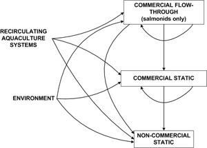 Figure 3. Pathways for translocating aquaculture stock into and between freshwater open aquaculture systems.