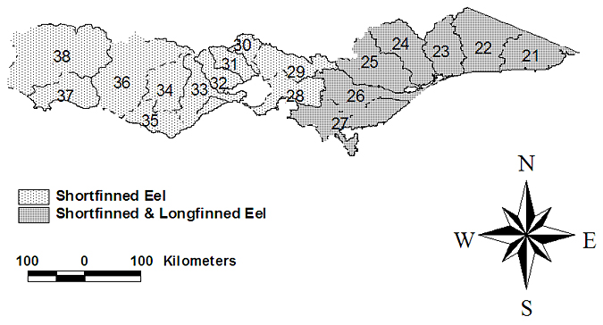Partial map of victoria showing number of Shortfinned Eel ranging from 28 - 38 on the West and Shorfinned and Longfinned Eel ranging from 21 - 28 on the East