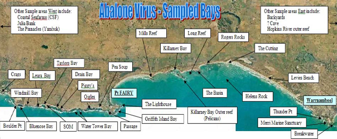 Figure 1 - Bays near to Warrnambool and Port Fairy in Western Victoria that were monitored for the presence of diseased abalone (courtesy of Fisheries Victoria)