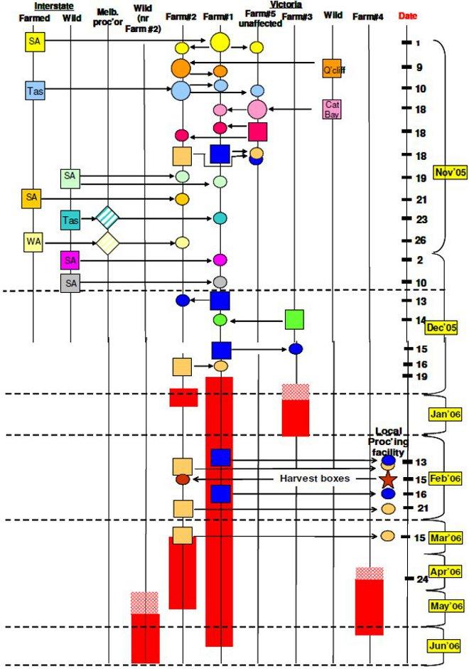 Flow chart of events showing movements of abalone and equipment