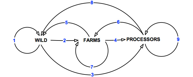 Figure 4 - Potential pathways of transmission of abalone viral ganglioneuritis