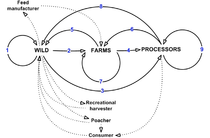 Figure 5 - Additional pathways of transmission of abalone viral ganglioneuritis in abalone and associated industries
