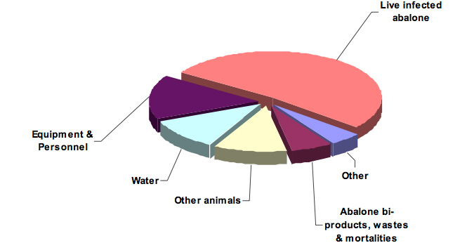 Figure 7 - Proportion of risks for each of the primary vehicles of transport of abalone viral ganglioneuritis