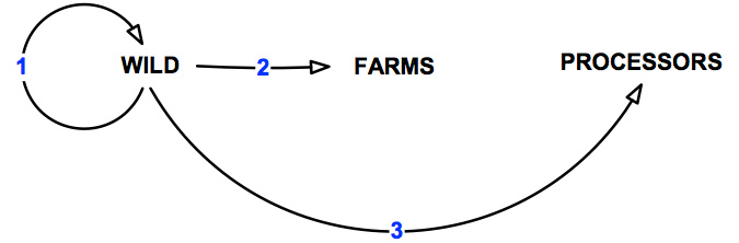 Figure 8 - Pathways of transmission associated with the wild abalone harvest sector