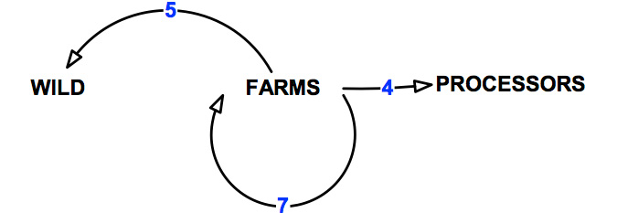 Figure 9 - Pathways of transmission associated with the abalone aquaculture sector.