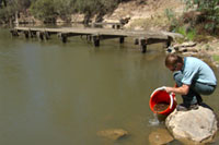 A man releasing Murray Cod to Goulburn River.