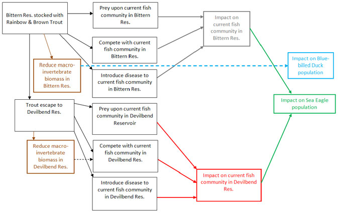 Flow chart of Conceptual Model of threat pathways to values in Bittern Reservoir study area