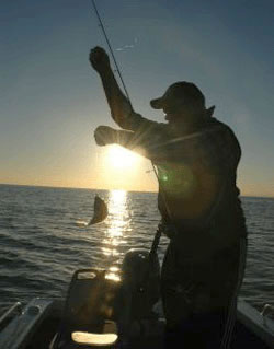 Fisherman with a catch