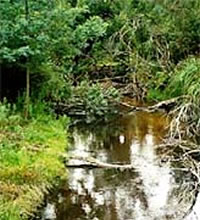 Bunyip River