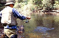 Troutspinning